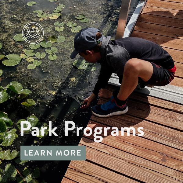 A boy leans over a fishing pier. Text 'Park Programs Learn More'